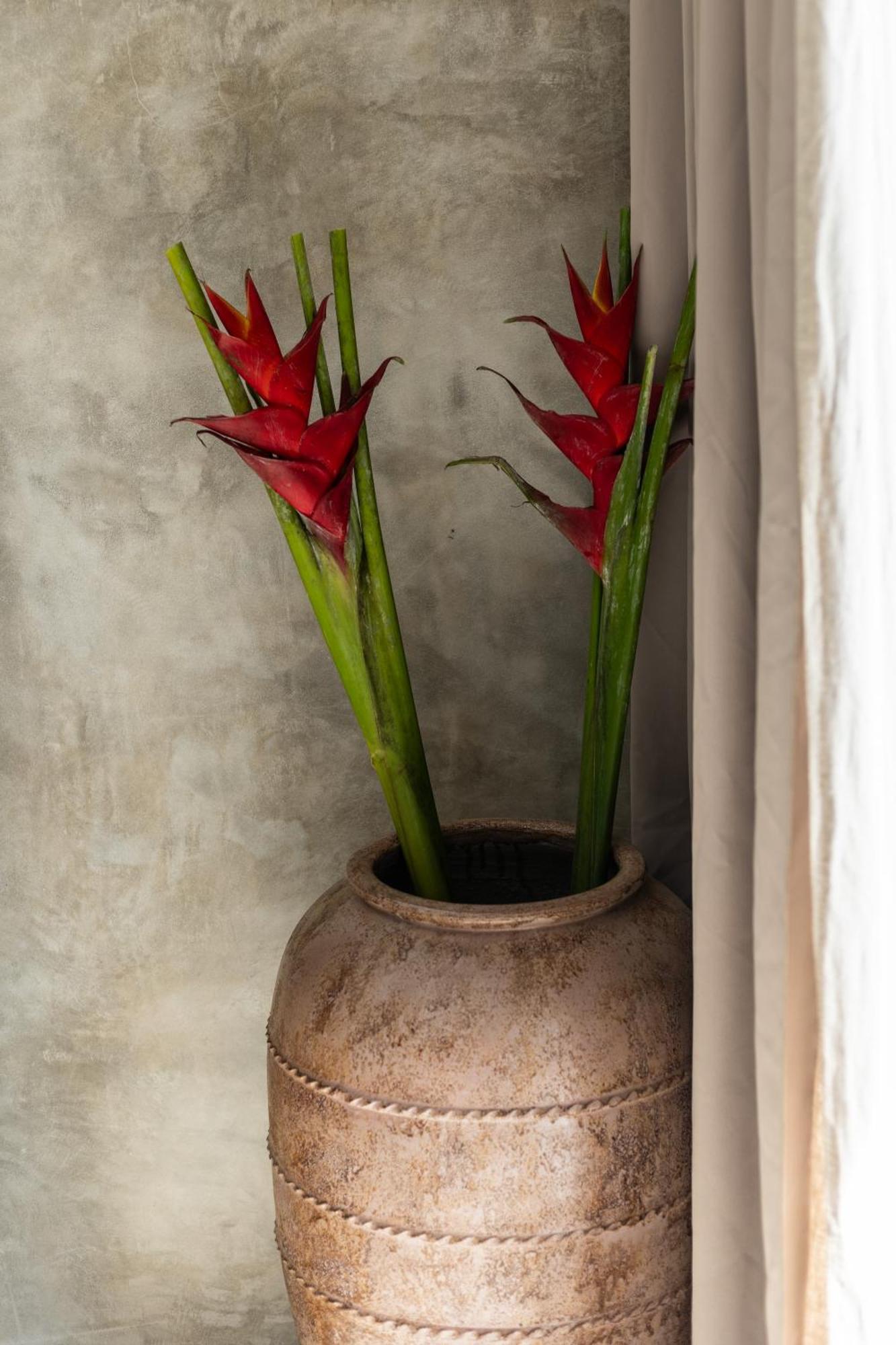 Kano Twin Canggu  Ngoại thất bức ảnh